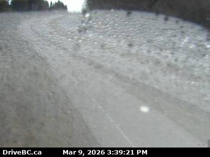 Hwy 99 at 8th Ave, South.