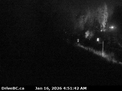 Herrling Island Overpass - W