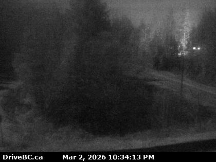 Herrling Island Overpass - W