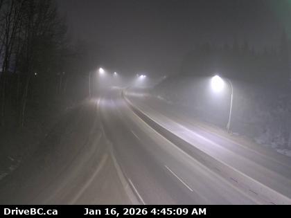 Peden Hill at Davis Rd