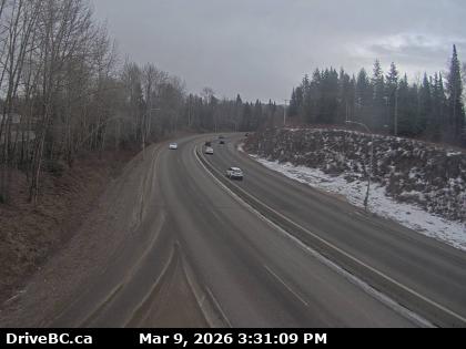 Peden Hill at Davis Rd