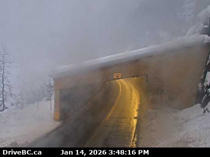 Jack McDonald Snowshed - W